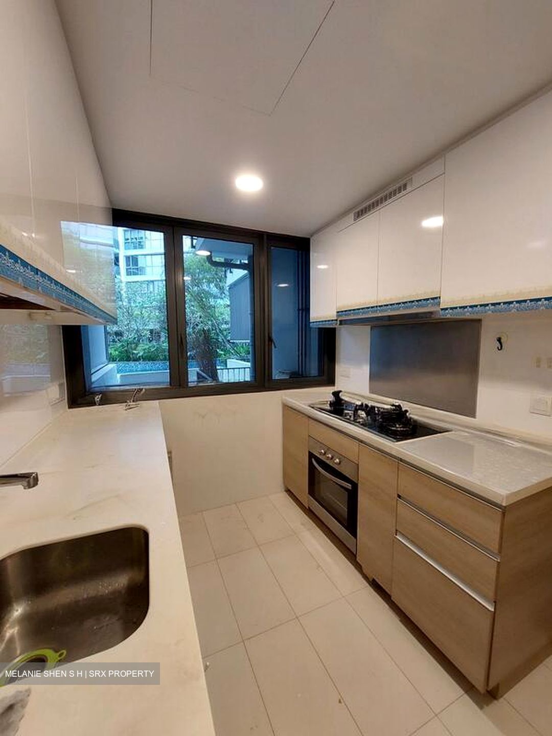 Boathouse Residences (D19), Condominium #506844001